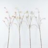 Artificial Flower Fruit single stem GS-74724010_1 Artificial Flower 28*28*131cm Fruit single stem GS-74724010 2024Jun YeahFlower is one of Chinese leading OEM manufacturers and exporters , supplying the silk flowers, wholesale artificial trees