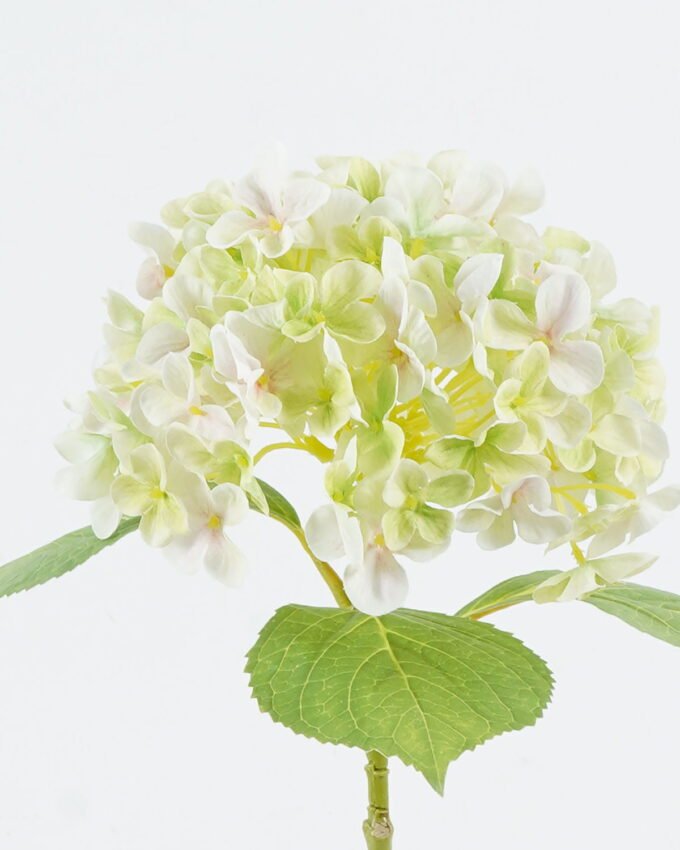 Artificial Flower 25*25*45cm Hydrangea *11 single stem GS-15424024 2024Jul YeahFlower is one of Chinese leading OEM manufacturers and exporters , supplying the silk flowers, wholesale artificial trees