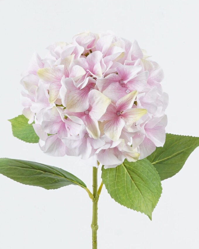 Artificial Flower 26*26*70cm Hydrangea *18 single stem GS-15424023-P2 2024Jul YeahFlower is one of Chinese leading OEM manufacturers and exporters , supplying the silk flowers, wholesale artificial trees