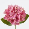 Artificial Flower Hydrangea single stem GS-64924008_2 Artificial Flower 14*14*45cm Hydrangea single stem GS-64924008 2024Jun YeahFlower is one of Chinese leading OEM manufacturers and exporters , supplying the silk flowers, wholesale artificial trees