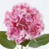 Artificial Flower 23*23*64cm Hydrangea  single stem GS-64924010-P2 2024Jun YeahFlower is one of Chinese leading OEM manufacturers and exporters , supplying the silk flowers, wholesale artificial trees