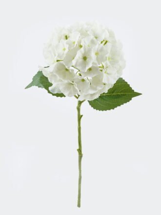 Artificial succulent 19*19*25cm Cactus in pp pot GS-69224016 2024Jun YeahFlower is one of Chinese leading OEM manufacturers and exporters , supplying the silk flowers, wholesale artificial trees