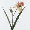 Artificial Flower 33*33*87cm Iris *2 spray GS-64724005-Y1 2024Jun YeahFlower is one of Chinese leading OEM manufacturers and exporters , supplying the silk flowers, wholesale artificial trees