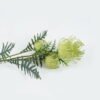 Artificial Flower 17*17*65cm Leucospermum *5 single stem GS-36624020 Single Flowers 3,000+ sqm showroom with thousands of artificial flowers, plants & trees ready for global sourcing.