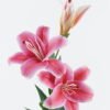 Artificial Flower 18*18*88cm Lily *3 single stem GS-64924009-P2 2024Jun YeahFlower is one of Chinese leading OEM manufacturers and exporters , supplying the silk flowers, wholesale artificial trees