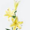 Artificial Flower 18*18*88cm Lily *3 single stem GS-64924009-Y1 2024Jun YeahFlower is one of Chinese leading OEM manufacturers and exporters , supplying the silk flowers, wholesale artificial trees