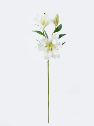 Artificial Flower 25*25*70 Phoenix single stem GS-27924010 2024Jul YeahFlower is one of Chinese leading OEM manufacturers and exporters , supplying the silk flowers, wholesale artificial trees