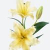 Artificial Flower 27*27*82cm Lily *3 single stem GS-68624002 2024Jun YeahFlower is one of Chinese leading OEM manufacturers and exporters , supplying the silk flowers, wholesale artificial trees