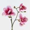 Artificial Flower 19*19*93cm Magnolia *3 single stem GS-15424016-R1 2024Jul YeahFlower is one of Chinese leading OEM manufacturers and exporters , supplying the silk flowers, wholesale artificial trees