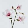 Artificial Flower 19*19*93cm Magnolia *3 single stem GS-15424016 2024Jul YeahFlower is one of Chinese leading OEM manufacturers and exporters , supplying the silk flowers, wholesale artificial trees