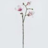 Artificial Flower 19*19*93cm Magnolia *3 single stem GS-15424016 2024Jul YeahFlower is one of Chinese leading OEM manufacturers and exporters , supplying the silk flowers, wholesale artificial trees