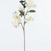 Artificial Flower Magnolia 5 single stem GS-15424015-W2_4 Artificial Flower 18*18*95cm Magnolia *5 single stem GS-15424015-W2 2024Jul YeahFlower is one of Chinese leading OEM manufacturers and exporters , supplying the silk flowers, wholesale artificial trees