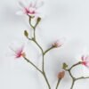 Artificial Flower 33*33*100cm Magnolia *7 single stem GS-15424014 2024Jun YeahFlower is one of Chinese leading OEM manufacturers and exporters , supplying the silk flowers, wholesale artificial trees