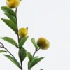 Artificial Flower Orange branch single stem GS-54224002_3 Artificial Flower 20*20*72cm Orange branch single stem GS-54224002 Single Flowers 3,000+ sqm showroom with thousands of artificial flowers, plants & trees ready for global sourcing.