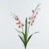 Artificial Flower 52*52*83cm Orchidaceae Arachnis *2 bush GS-64724006-R1 2024Jun YeahFlower is one of Chinese leading OEM manufacturers and exporters , supplying the silk flowers, wholesale artificial trees