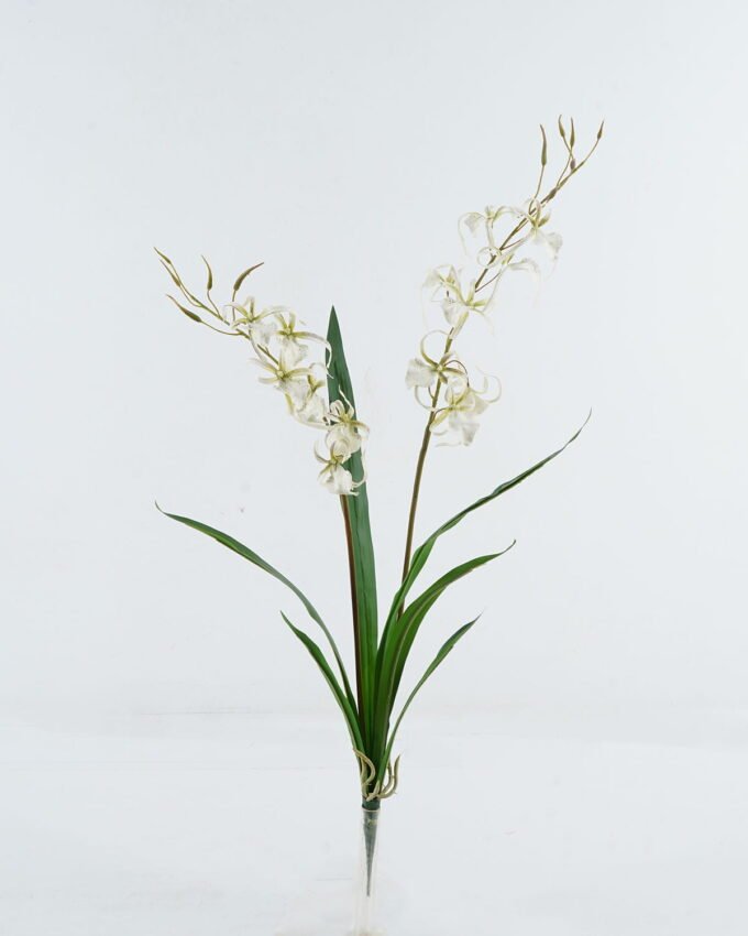 Artificial Flower 52*52*83cm Orchidaceae Arachnis *2 bush GS-64724006-R1 2024Jun YeahFlower is one of Chinese leading OEM manufacturers and exporters , supplying the silk flowers, wholesale artificial trees
