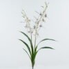 Artificial Flower 52*52*83cm Orchidaceae Arachnis *2 bush GS-64724006 2024Jun YeahFlower is one of Chinese leading OEM manufacturers and exporters , supplying the silk flowers, wholesale artificial trees