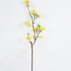 Artificial Flower 17*17*94cm Plum blossom single stem GS-27924015 2024Jul YeahFlower is one of Chinese leading OEM manufacturers and exporters , supplying the silk flowers, wholesale artificial trees