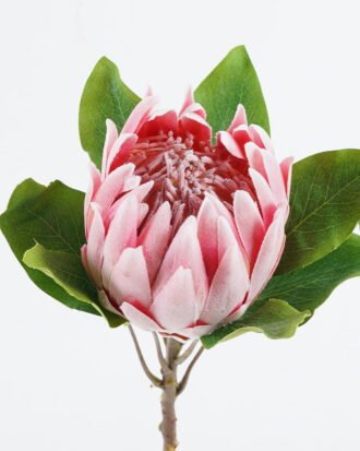 Artificial Flower 20*20*63cm Protea cynaroides single stem GS-27924023-P1 2024Jul YeahFlower is one of Chinese leading OEM manufacturers and exporters , supplying the silk flowers, wholesale artificial trees