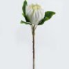Artificial Flower 20*20*63cm Protea cynaroides single stem GS-27924023 2024Jul YeahFlower is one of Chinese leading OEM manufacturers and exporters , supplying the silk flowers, wholesale artificial trees