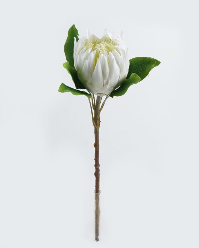 Artificial Flower 20*20*63cm Protea cynaroides single stem GS-27924023 2024Jul YeahFlower is one of Chinese leading OEM manufacturers and exporters , supplying the silk flowers, wholesale artificial trees