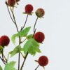 Artificial Flower Raspberry single stem GS-54224006_3 Artificial Flower 20*20*71cm Raspberry single stem GS-54224006 2024Jun YeahFlower is one of Chinese leading OEM manufacturers and exporters , supplying the silk flowers, wholesale artificial trees
