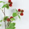 Artificial Flower 30*30*98cm Raspberry single stem GS-54224007 2024Jun YeahFlower is one of Chinese leading OEM manufacturers and exporters , supplying the silk flowers, wholesale artificial trees