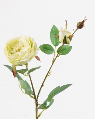 Artificial Flower 15*15*60cm Rose *2 single stem GS-55124012-G1 Single Flowers YeahFlower is one of Chinese leading OEM manufacturers and exporters , supplying the silk flowers, wholesale artificial trees