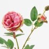 Artificial Flower 15*15*60cm Rose *2 single stem GS-55124012-P1 2024Jun YeahFlower is one of Chinese leading OEM manufacturers and exporters , supplying the silk flowers, wholesale artificial trees