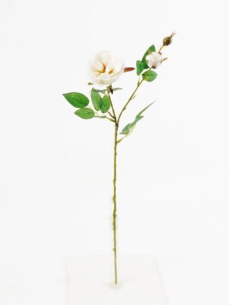 Artificial Flower 15*15*60cm Rose *2 single stem GS-55124012-P1 Single Flowers 3,000+ sqm showroom with thousands of artificial flowers, plants & trees ready for global sourcing.
