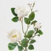 Artificial Flower Rose 3 single stem GS-55124004-W1_6 Artificial Flower 15*15*64cm Rose *3 single stem GS-55124004-W1 Single Flowers 3,000+ sqm showroom with thousands of artificial flowers, plants & trees ready for global sourcing.