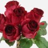 Artificial Flower Rose 6 bundle GS-55124007-R1_6 Artificial Flower 23*23*24cm Rose *6 bundle GS-55124007-R1 Bouquet 3,000+ sqm showroom with thousands of artificial flowers, plants & trees ready for global sourcing.