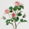 Artificial Flower Rose 6 single stem GS-55124005-P1_6 Artificial Flower 26*26*70cm Rose *6 single stem GS-55124005-P1 2024Jun YeahFlower is one of Chinese leading OEM manufacturers and exporters , supplying the silk flowers, wholesale artificial trees