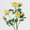 Artificial Flower 26*26*70cm Rose *6 single stem GS-55124005-Y1 2024Jun YeahFlower is one of Chinese leading OEM manufacturers and exporters , supplying the silk flowers, wholesale artificial trees