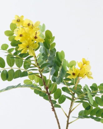 Artificial Flower 29*29*70cm Sophora flower *2 single stem GS-74824002-Y1 Single Flowers YeahFlower is one of Chinese leading OEM manufacturers and exporters , supplying the silk flowers, wholesale artificial trees