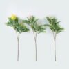Artificial Flower 29*29*70cm Sophora flower *2 single stem GS-74824002 2024Jun YeahFlower is one of Chinese leading OEM manufacturers and exporters , supplying the silk flowers, wholesale artificial trees