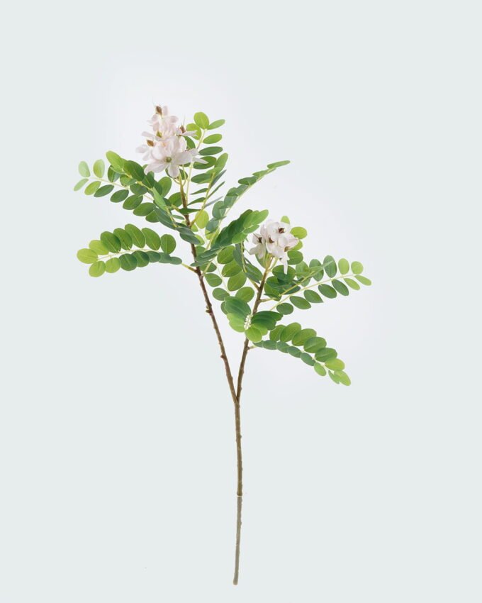 Artificial Flower 29*29*70cm Sophora flower *2 single stem GS-74824002 2024Jun YeahFlower is one of Chinese leading OEM manufacturers and exporters , supplying the silk flowers, wholesale artificial trees