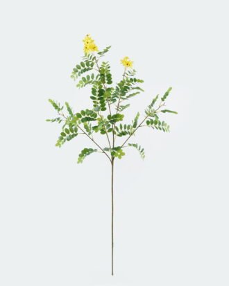 Artificial Flower 45*45*125cm Sophora flower *5 single stem GS-74824001-Y1 Single Flowers YeahFlower is one of Chinese leading OEM manufacturers and exporters , supplying the silk flowers, wholesale artificial trees