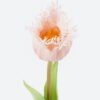 Artificial Flower 5*5*44cm Tulip single stem GS-24523009 2024Jun YeahFlower is one of Chinese leading OEM manufacturers and exporters , supplying the silk flowers, wholesale artificial trees