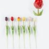 Artificial Flower 5*5*46cm Tulip single stem GS-24523029 2024Jun YeahFlower is one of Chinese leading OEM manufacturers and exporters , supplying the silk flowers, wholesale artificial trees