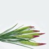 Artificial Flower 15*15*62cm flower *5 bush GS-36624019 Flowers Bush 3,000+ sqm showroom with thousands of artificial flowers, plants & trees ready for global sourcing.