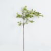 Artificial Flower fruit single stem GS-74724017_3 Artificial Flower 23*23*70 fruit single stem GS-74724017 Single Flowers 3,000+ sqm showroom with thousands of artificial flowers, plants & trees ready for global sourcing.