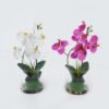 Artificial Flower 19*19*33.3cm phalaenopsis in glass ware GS-41324043 2024Jul YeahFlower is one of Chinese leading OEM manufacturers and exporters , supplying the silk flowers, wholesale artificial trees