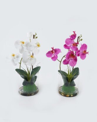 Artificial Flower 19*19*33.3cm phalaenopsis in glass ware GS-41324043 2024Jul YeahFlower is one of Chinese leading OEM manufacturers and exporters , supplying the silk flowers, wholesale artificial trees Artificial Flower 19*19*33.3cm phalaenopsis in glass ware GS-41324043 2024Jul YeahFlower is one of Chinese leading OEM manufacturers and exporters , supplying the silk flowers, wholesale artificial trees
