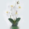 Artificial Flower 19*19*33.3cm phalaenopsis in glass ware GS-41324043 2024Jul YeahFlower is one of Chinese leading OEM manufacturers and exporters , supplying the silk flowers, wholesale artificial trees