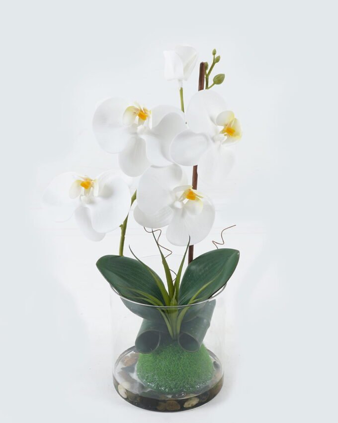Artificial Flower 19*19*33.3cm phalaenopsis in glass ware GS-41324043 2024Jul YeahFlower is one of Chinese leading OEM manufacturers and exporters , supplying the silk flowers, wholesale artificial trees