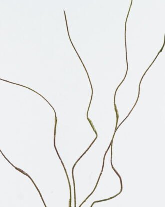 Artificial Flower 10*10*100cm willow branch *5 spray GS-74724011 2024Jun YeahFlower is one of Chinese leading OEM manufacturers and exporters , supplying the silk flowers, wholesale artificial trees