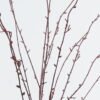 Artificial Flower willow branch spray GS-74724012-Z1_3 Artificial Flower 30*30*122cm willow branch spray GS-74724012-Z1 2024Jun YeahFlower is one of Chinese leading OEM manufacturers and exporters , supplying the silk flowers, wholesale artificial trees