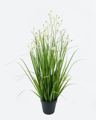 Artificial Grass 23*23*76cm Bellis perennis *12 in pp pot GS-29424032 2024Jun YeahFlower is one of Chinese leading OEM manufacturers and exporters , supplying the silk flowers, wholesale artificial trees