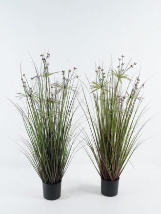 Artificial Grass 30*30*70cm Codariocalyx motorius *4 in pp pot GS-61924030-PET Grass&PLANT 3,000+ sqm showroom with thousands of artificial flowers, plants & trees ready for global sourcing.